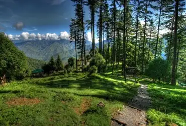 benog wildlife sanctuary