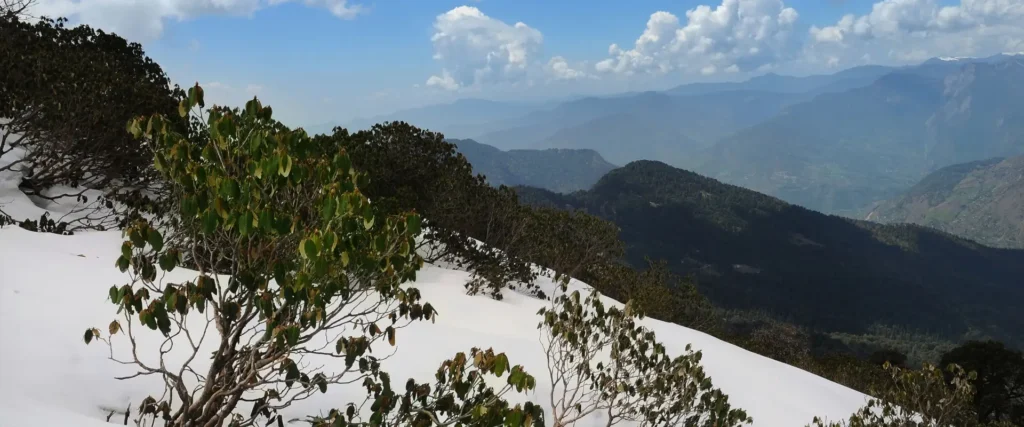 dhanaulti